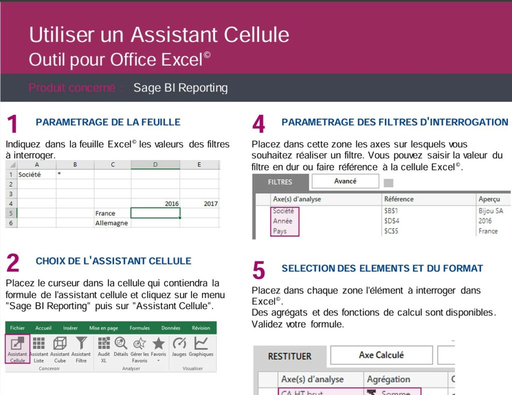 Sage BI Reporting Assistant cellule