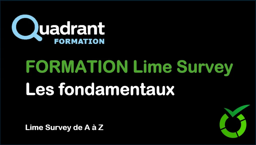 Formation Lime survey fondamentaux